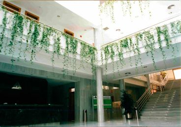 Tanatorios y Funerarias del Sur escaleras